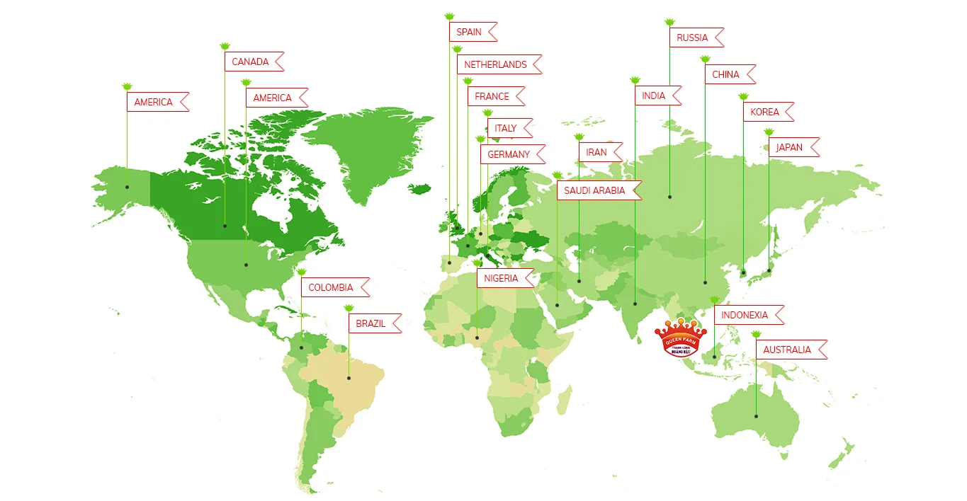 map-full-1