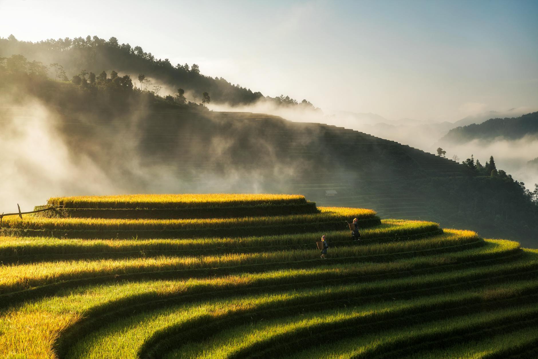 Visa Việt Nam cho Công dân Malaysia